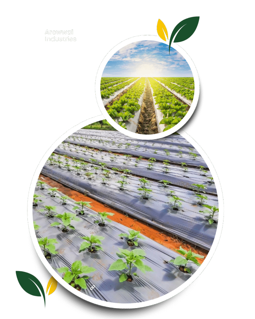 green modern agriculture expert services instagram post