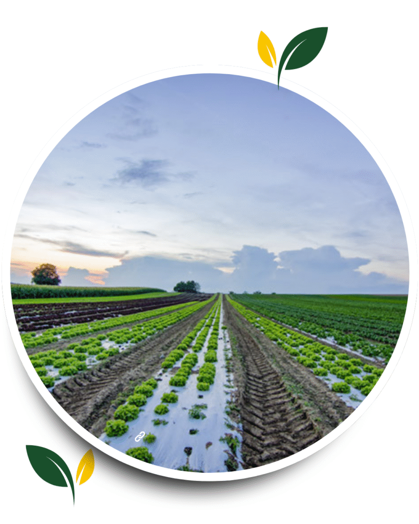 green modern agriculture expert services instagram post(2)